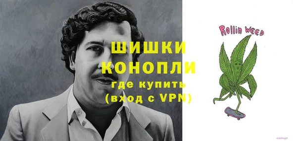 PSILOCYBIN Кулебаки