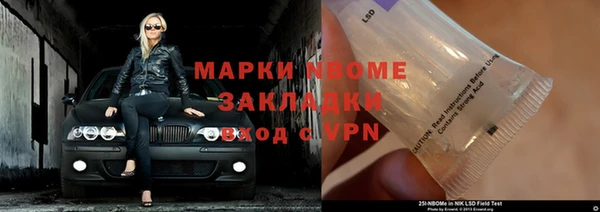 PSILOCYBIN Кулебаки