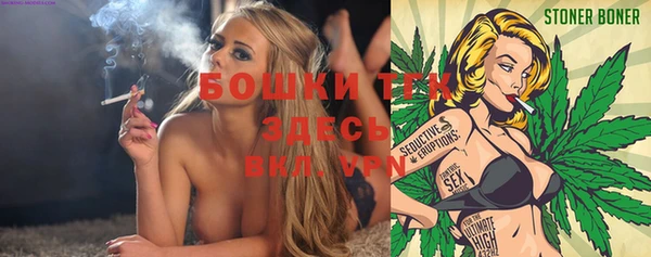 ALPHA PVP Куйбышев