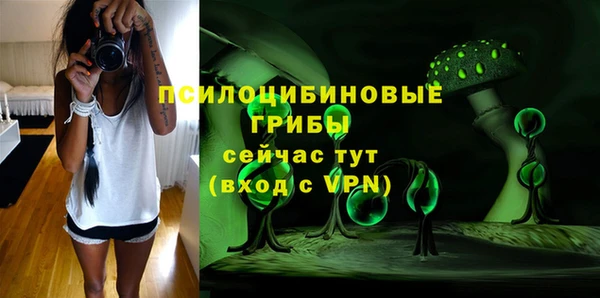 гидропоника Краснослободск