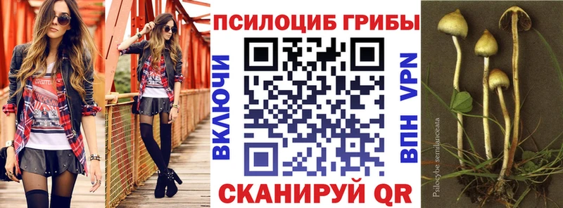 цена   Урюпинск  Галлюциногенные грибы прущие грибы 