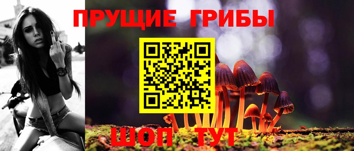 Галлюциногенные грибы Magic Shrooms  Вход с VPN  Урюпинск 